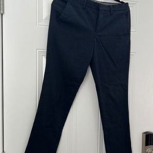 Express Mens dress pants size 29/30 blue